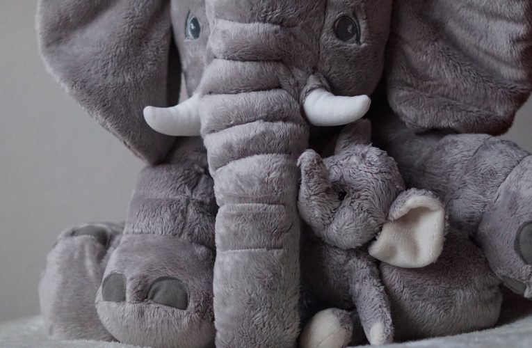 Jakie klocki dla dzieci wybrać? Najpopularniejsze rodzaje