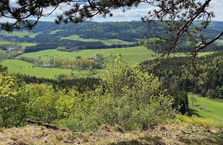 Mutacja genu MTHFR – jak zbadać?