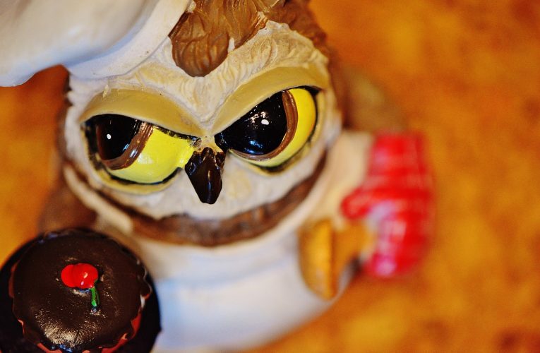 Jak zostać profesjonalnym cukiernikiem?